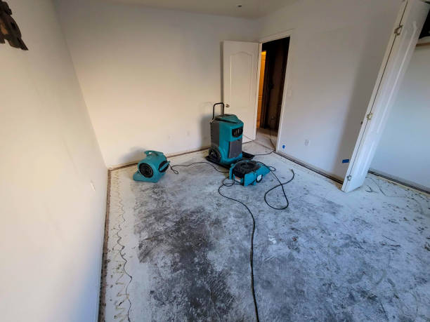 Best Water damage contractors near me  in Montour Falls, NY