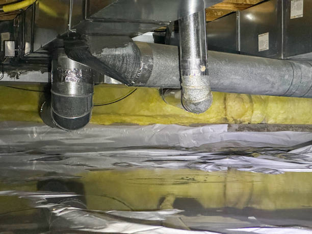 Best Water damage cleanup near me  in Montour Falls, NY
