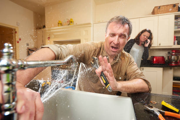 Best Fire Damage Restoration  in Montour Falls, NY